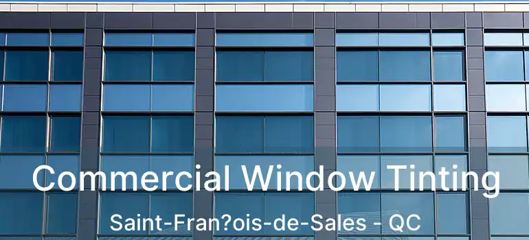 Commercial Window Tinting Saint-Fran?ois-de-Sales - QC