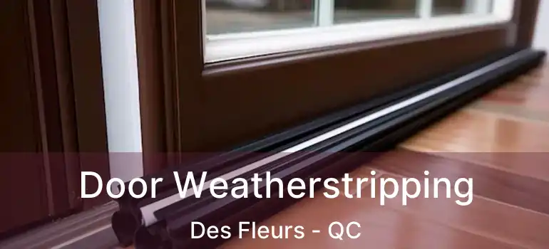 Door Weatherstripping Des Fleurs - QC