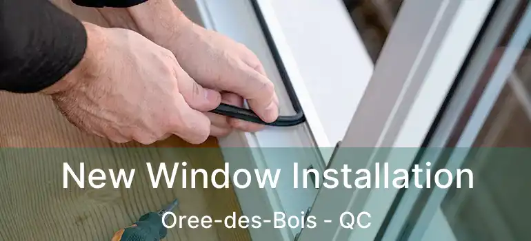 New Window Installation Oree-des-Bois - QC