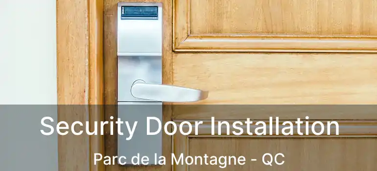 Security Door Installation Parc de la Montagne - QC