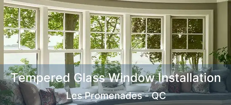 Tempered Glass Window Installation Les Promenades - QC