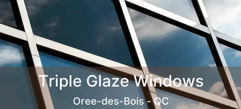 Triple Glaze Windows Oree-des-Bois - QC