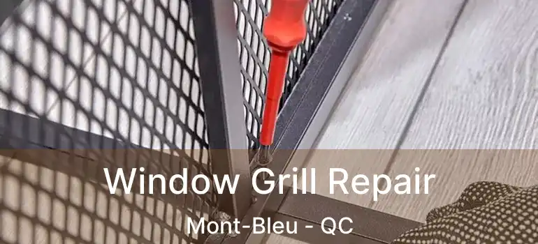 Window Grill Repair Mont-Bleu - QC