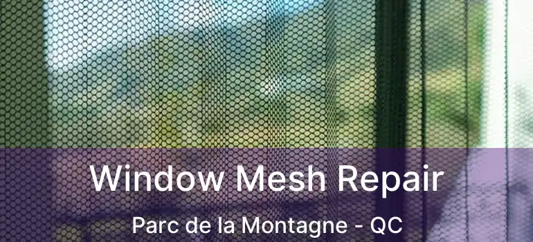 Window Mesh Repair Parc de la Montagne - QC