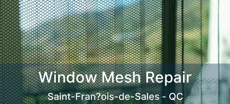 Window Mesh Repair Saint-Fran?ois-de-Sales - QC