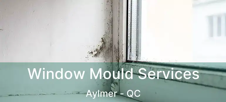 Window Mould Services Aylmer - QC