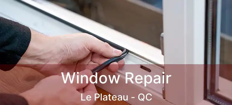 Window Repair Le Plateau - QC