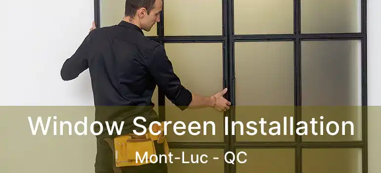 Window Screen Installation Mont-Luc - QC
