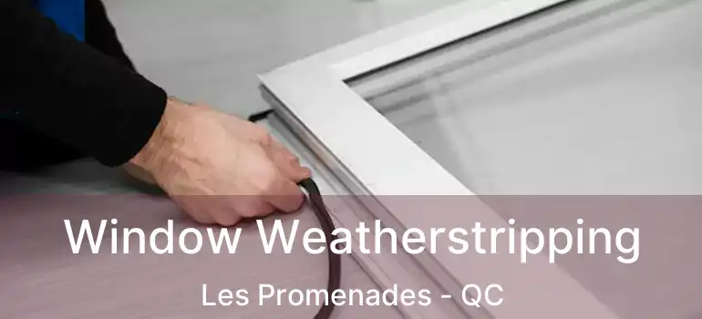 Window Weatherstripping Les Promenades - QC